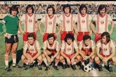 Samsunspor-Tekin-Temel